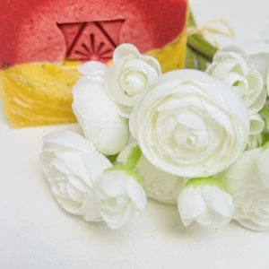 Golden Eden Cold Processed soap